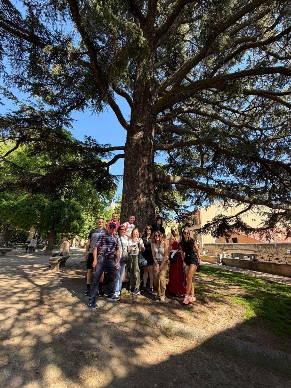 A family gathered under a cedar tree in Spain