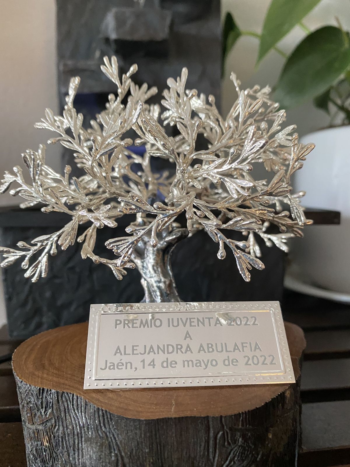 Premio Iuventa 2022 a Alejandra Abulafia